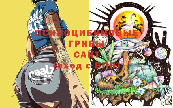 спайс Пересвет