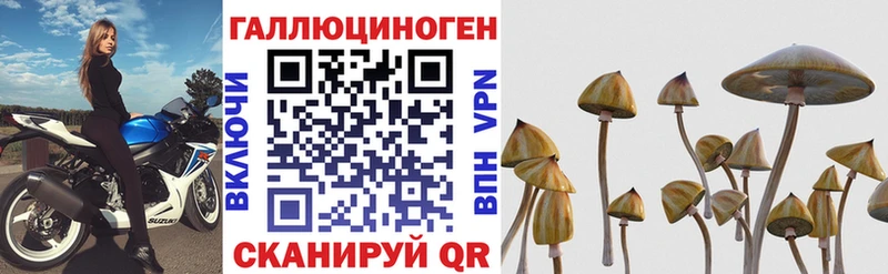 как найти закладки  kraken tor  сайты даркнета Telegram  Тарко-Сале  Псилоцибиновые грибы Psilocybine cubensis 